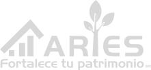 logo aries-promocion